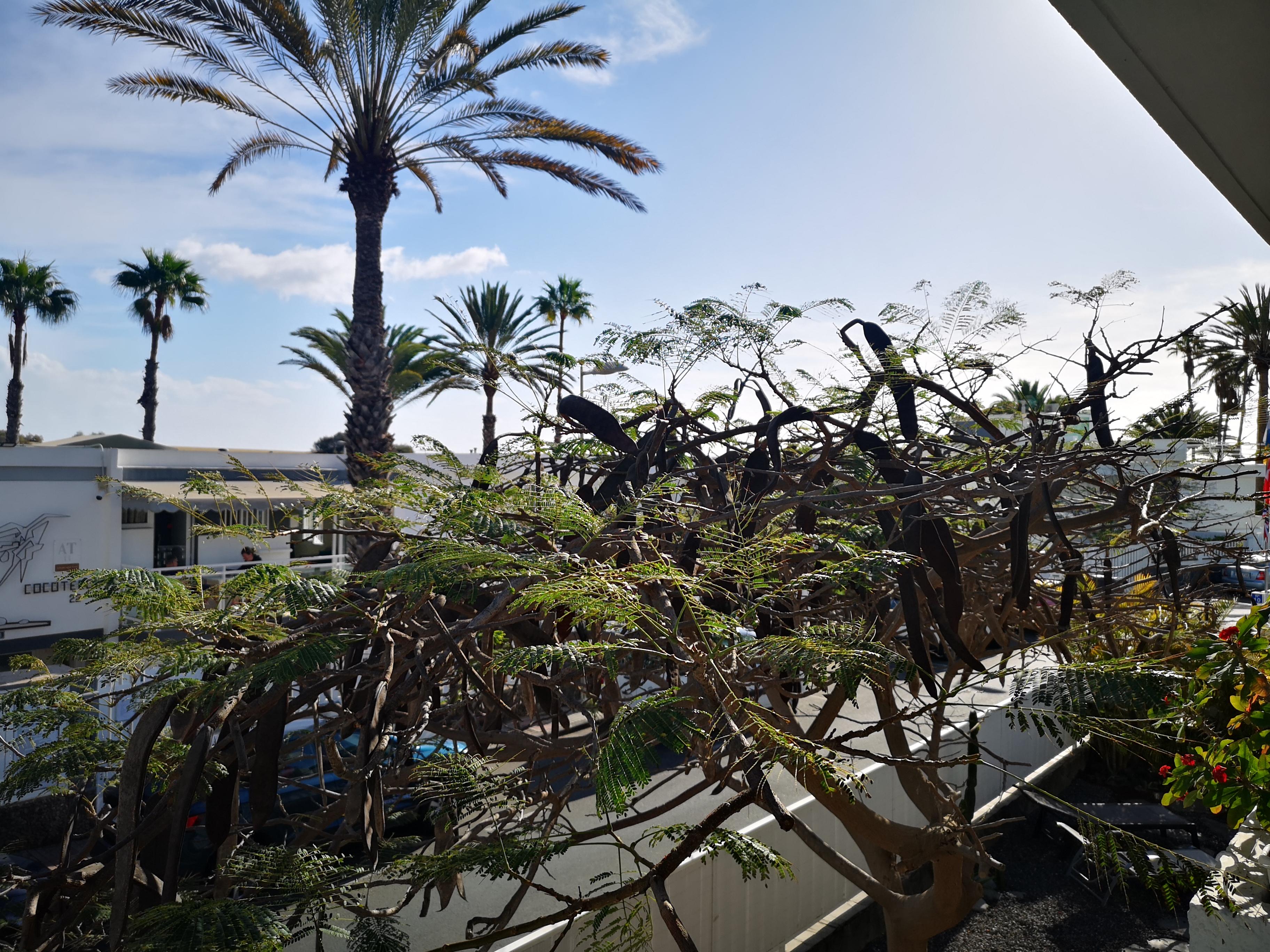 Apartamentos Tamara Maspalomas  Zewnętrze zdjęcie