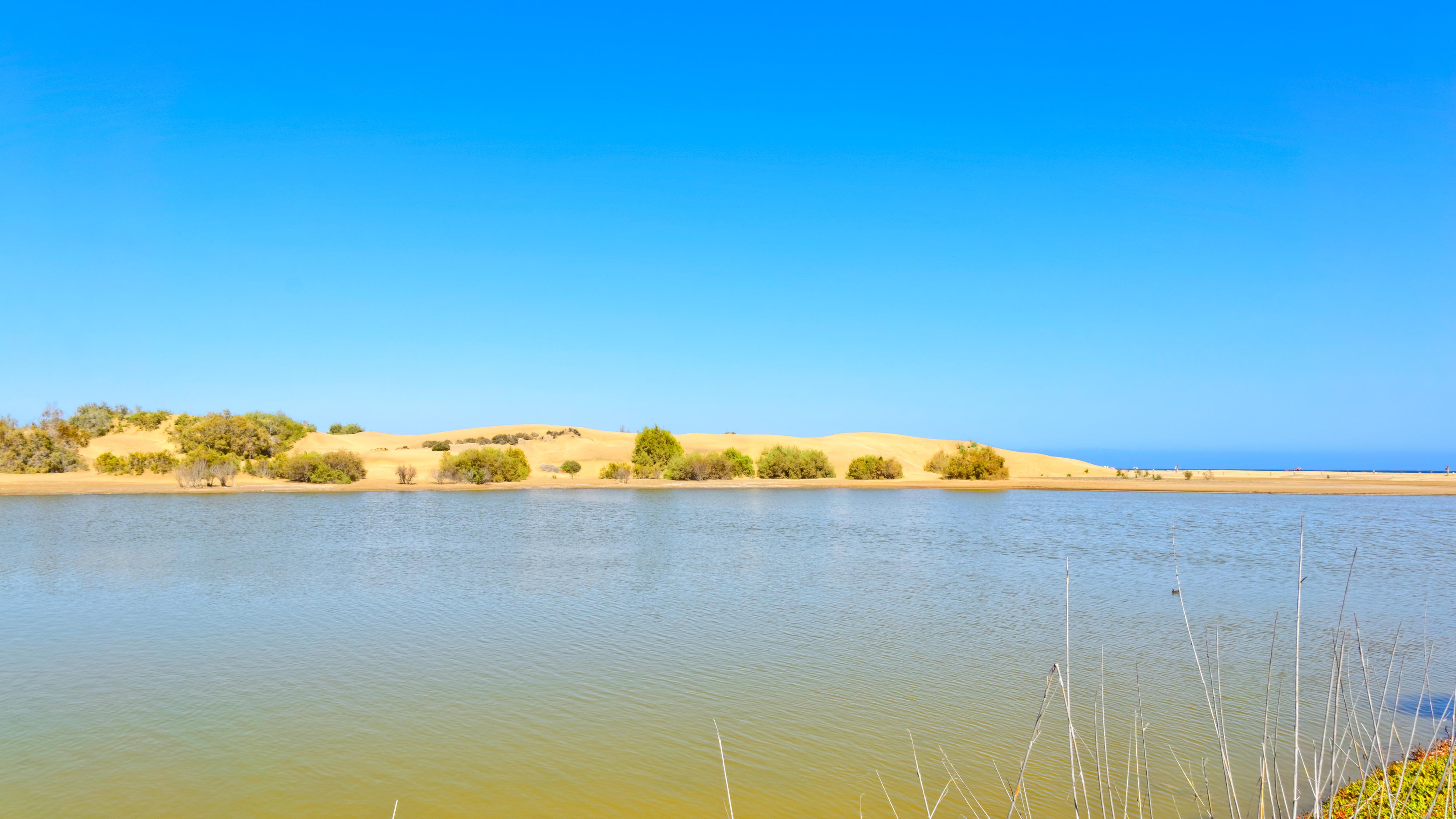 Apartamentos Tamara Maspalomas  Zewnętrze zdjęcie