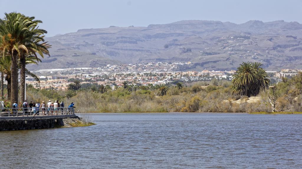 Apartamentos Tamara Maspalomas  Zewnętrze zdjęcie